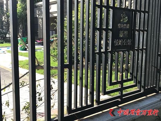 一棵景觀樹連根拔起,上面纏繞著撕碎的保溫棉。