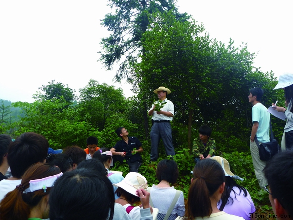 呂芳德教授在油茶林現(xiàn)場為學(xué)生們講解油茶載培知識(shí)