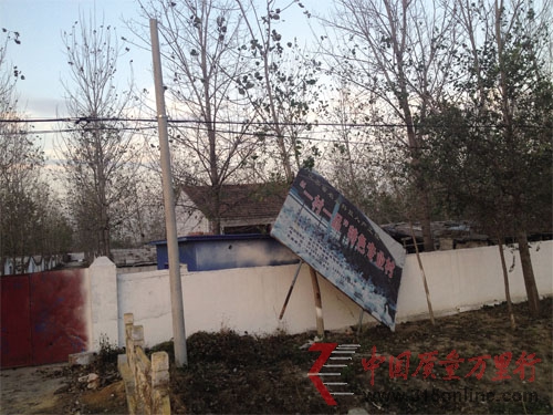 消失的鴨子——江蘇沛縣養鴨產業為何漸入蕭條