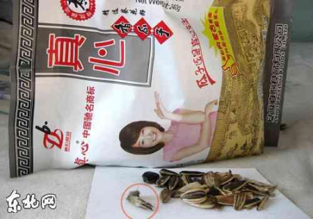 “真心瓜子”中竟吃出了毛茸茸的老鼠爪子。圖片由于同學(xué)提供 “真心瓜子”中竟吃出了毛茸茸的老鼠爪子。圖片由于同學(xué)提供