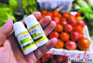 蔬菜濫用催熟劑現象值得關注。這是記者在合肥農資市場買到的“乙烯利”植物生長調節劑(7月17日攝)。新華社 發 蔬菜濫用催熟劑現象值得關注。這是記者在合肥農資市場買到的“乙烯利”植物生長調節劑(7月17日攝)。新華社 發