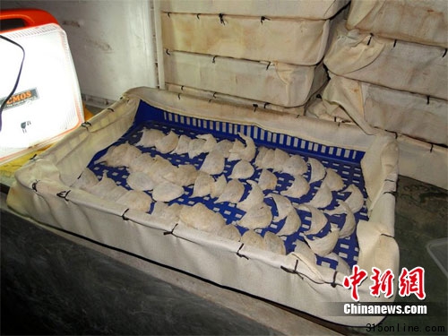 浙江問(wèn)題血燕主要源自馬來(lái)西亞假“拿督”曾辟謠