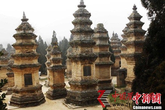 近日有報道稱,身為“國家5A級旅游景區(qū)”的少林景區(qū),目前正遭遇一場 “摘牌”危機,河南嵩山少林景區(qū)因管理混亂被全國旅游景區(qū)質(zhì)量等級評定委員會要求限期整改。圖為少林寺塔林資料照片(2011年12月20日拍攝)。中新社記者 王中舉 攝