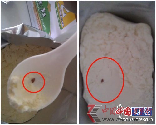 棕色異物大圖 棕色異物大圖