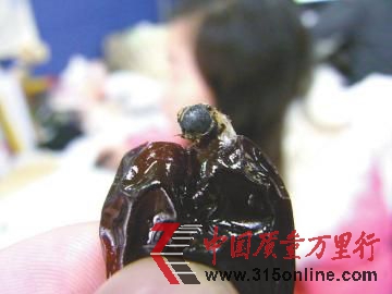 市民從棗子里吃出的蟲子。(圖中圓圈處)