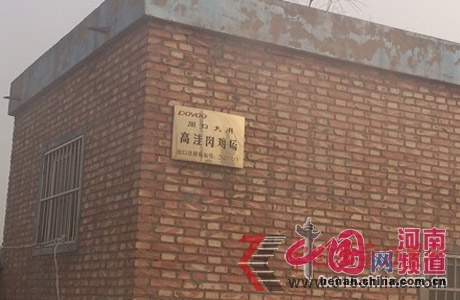 周口項城縣高洼肉雞養殖場 周口項城縣高洼肉雞養殖場